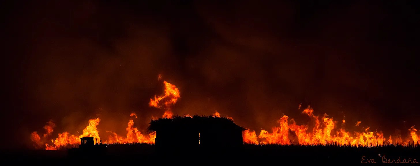 Foto de un cañaveral ardiendo en León, Nicaragua, por Eva Bendaña